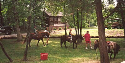 pony rides in new jersey